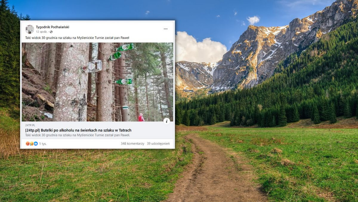 "Udekorowali" drzewa w Tatrach. Turysta pokazał zdjęcie