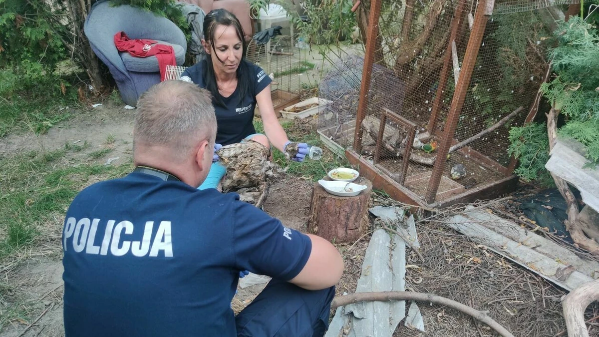 Parczew: 55-latek znęcał się nad ptakami? Na miejscu truchła i ledwo żywe zwierzęta - Vimarsana News