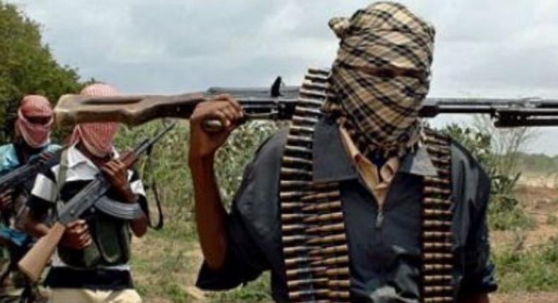 (Photo used for illustrative purposes) Gunmen have kidnapped two lecturers of a polytechnic in Katsina state. (NaijaNews)