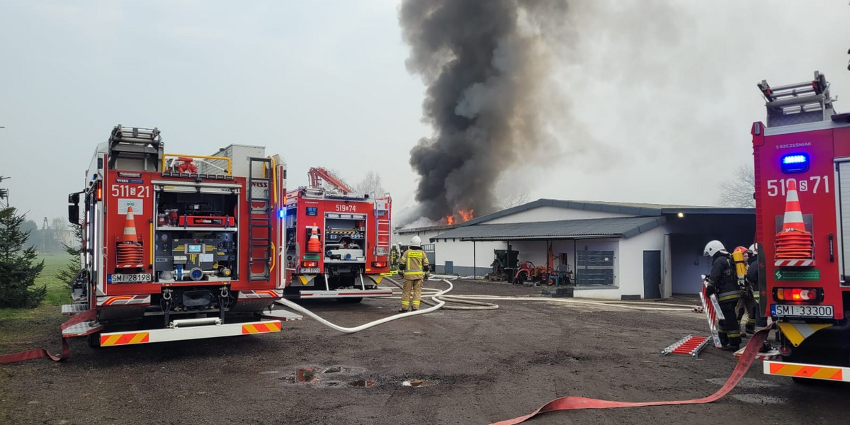 15 zastępów straży pożarnej walczyło z ogniem w hali, w której znajdował się warsztat samochodowy w Gostyniu. 