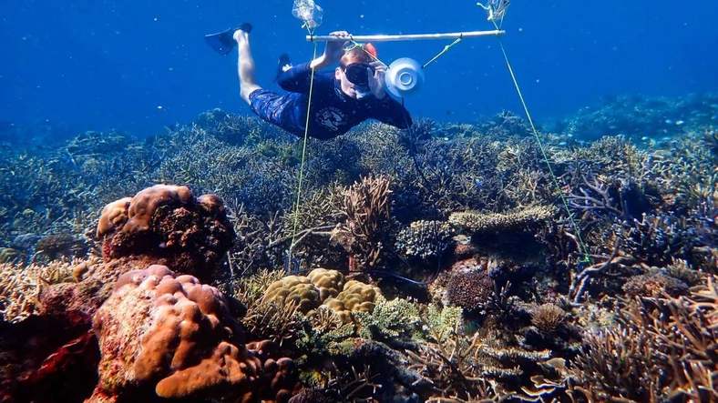 Podwodne głośniki - Wielka Rafa Koralowa