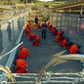 Guantanamo Bay: Closure Plan In 'Final Stages'