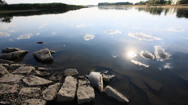 Pobrali próbki z Odry na Dolnym Śląsku. WIOŚ ujawnia wyniki badań