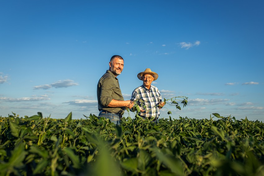Najbolje vreme za sadnju pistaća je jesen