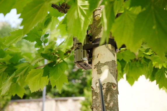 Łódź: kilkadziesiąt nowych fotopułapek w walce z dzikimi wysypiskami śmieci