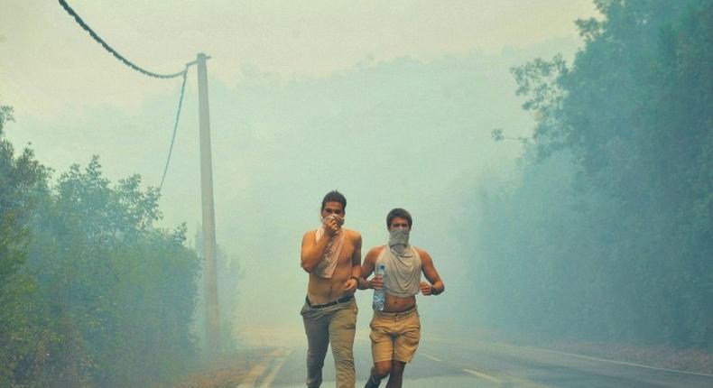 People run through smoke as a forest fire rages in Montenegro's Lustica Peninsula. Montenegro has appealed for international help to control the fires