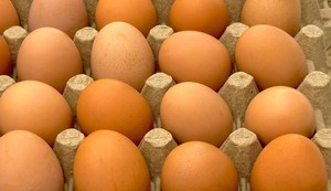 Jaja imaju prirodnu zaštitu - tanki sloj na ljusci koji sprečava prodor bakterija