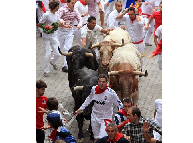 Ucieczka przed bykami