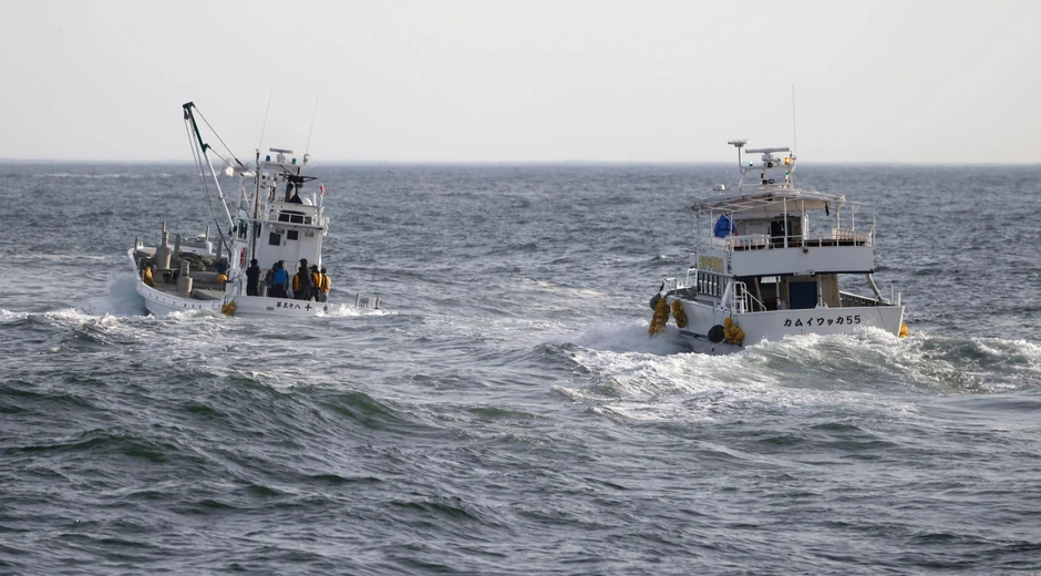 Japan, spasilačka misija, turistički brod