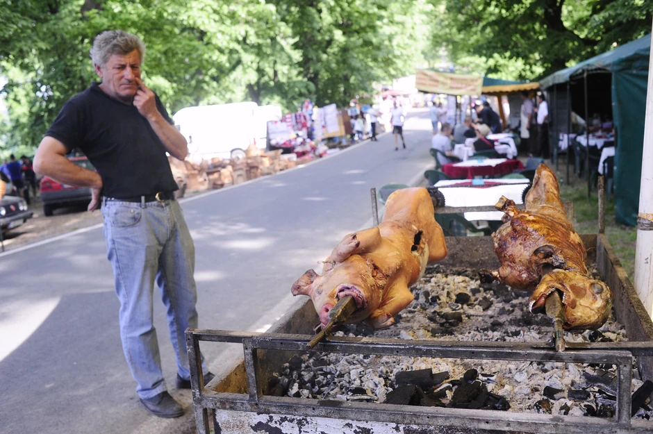 Svako svoje prase hvali