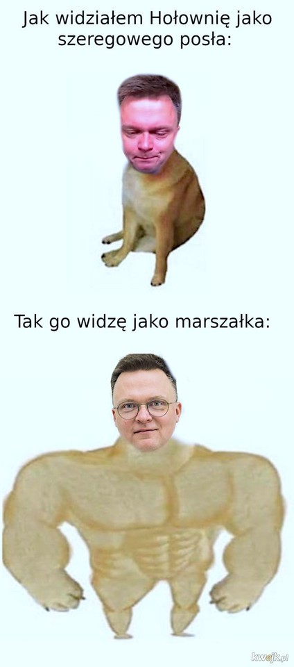 Mem z Szymonem Hołownią