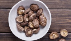 Komputery z grzybów? Bioelektronika, która może zmienić przyszłość technologii