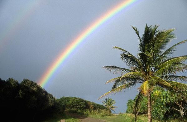 Galeria USA - Hawaje, Maui i Hawaii, obrazek 7