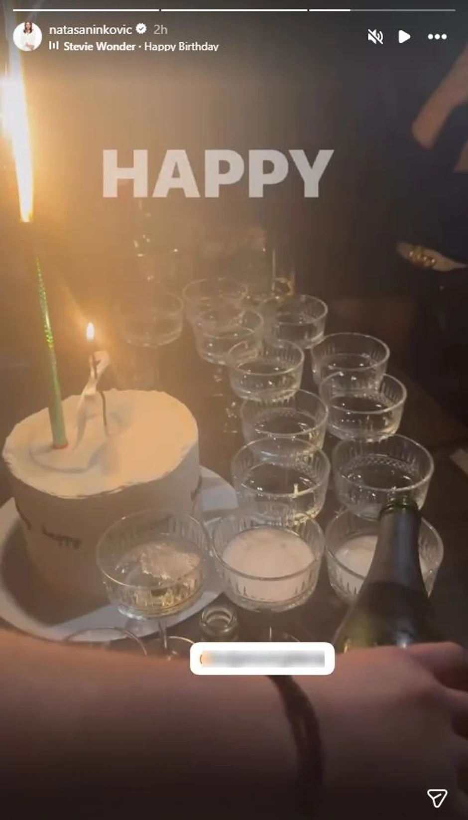 Nataša Ninković, objava