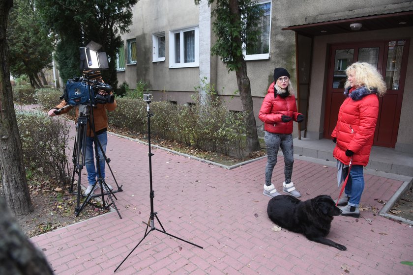 Program Justyny Żyły