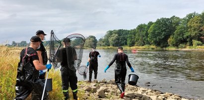 Zatrważające słowa o wodzie w polskich rzekach. Naukowiec podsumował to krótko