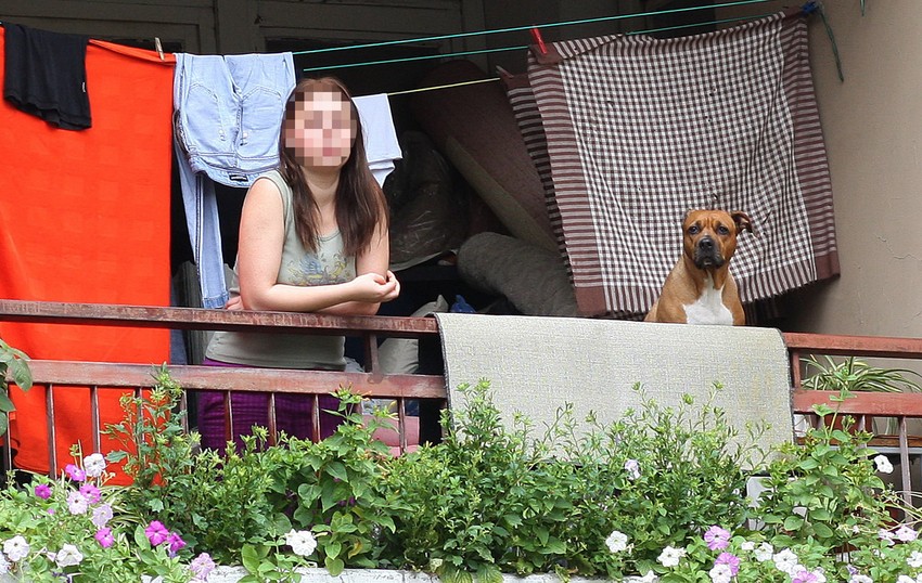 Niske cene će ostati bar neko vreme