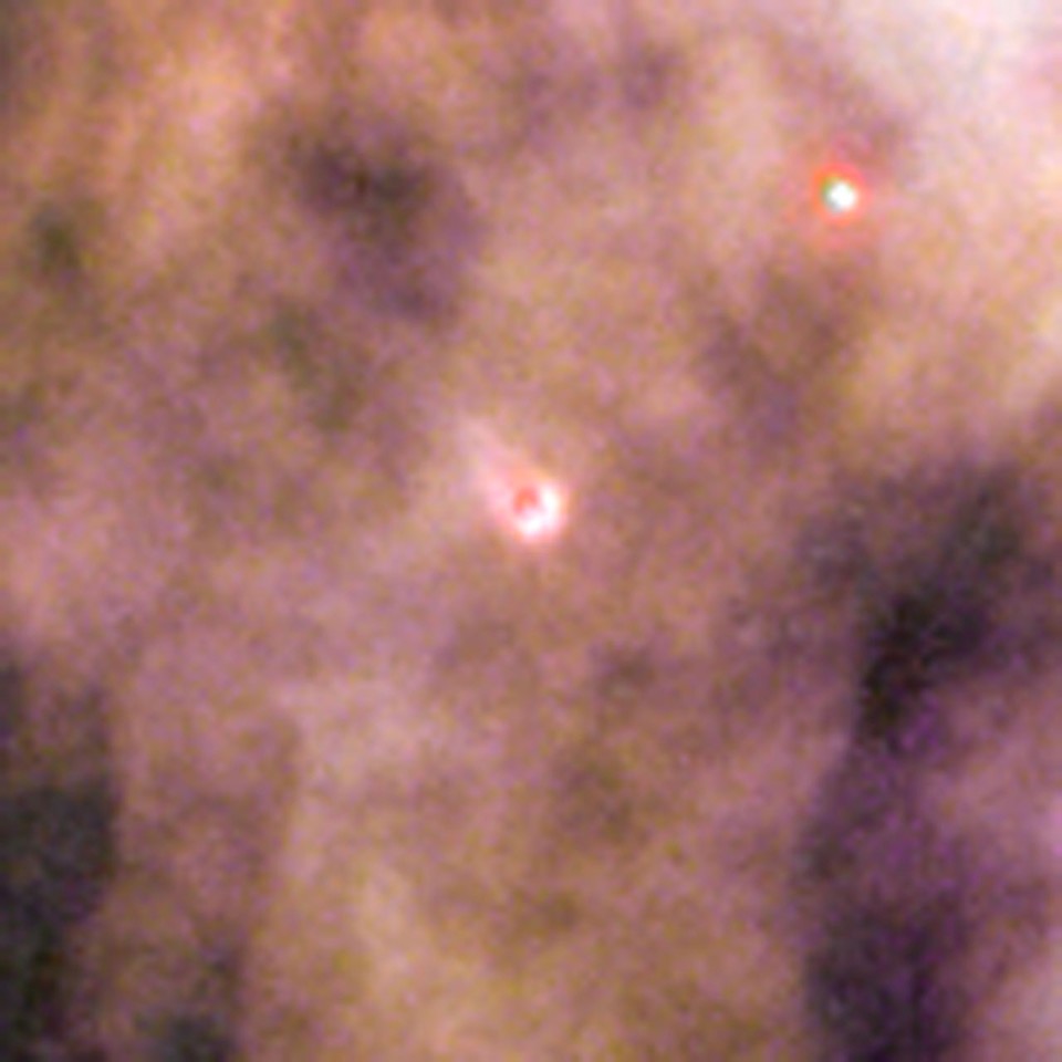 Born in beauty: proplyds in the Orion Nebula