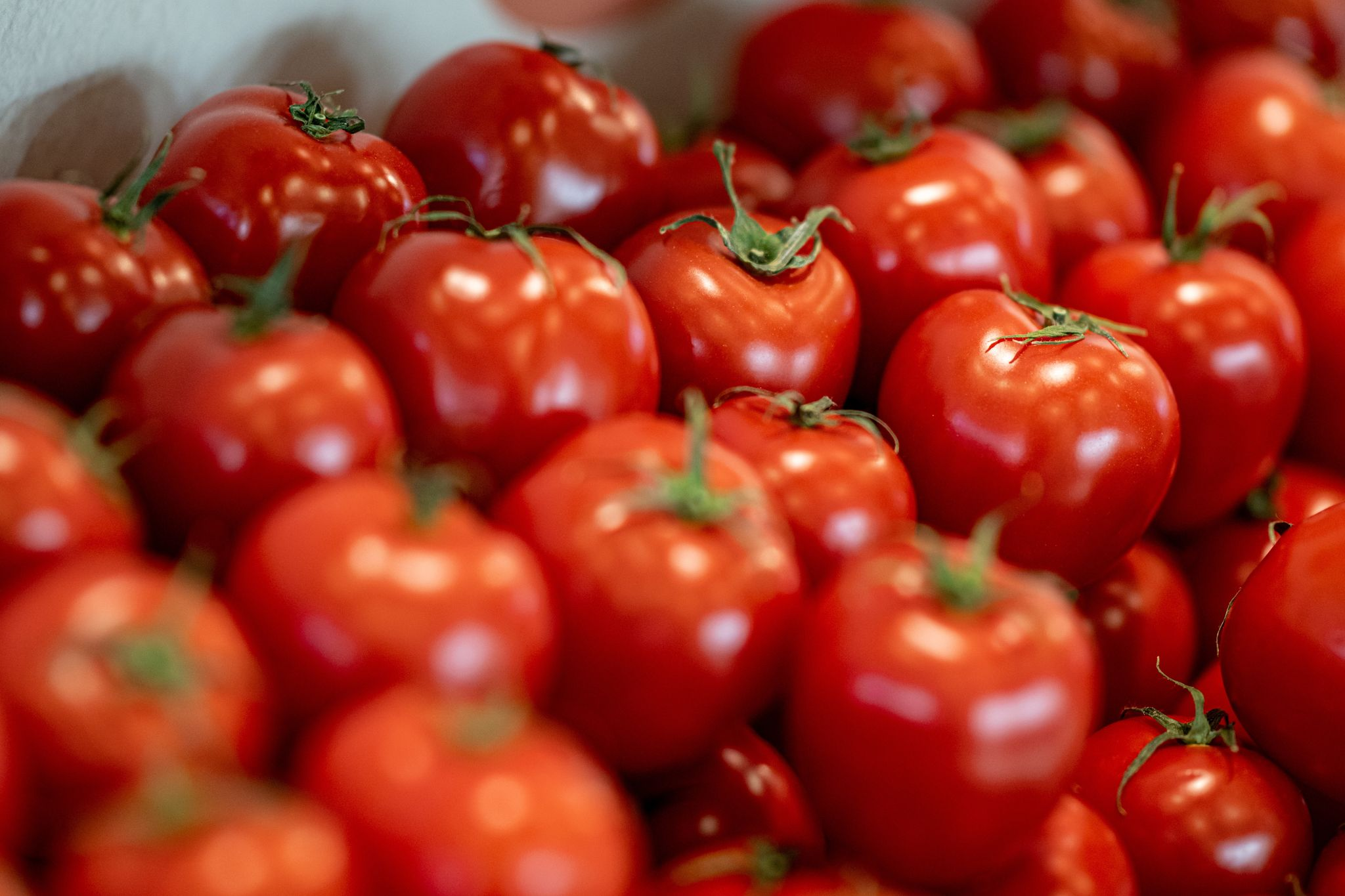 Tomatenverbrauch sinkt um 10 Prozent in Deutschland
