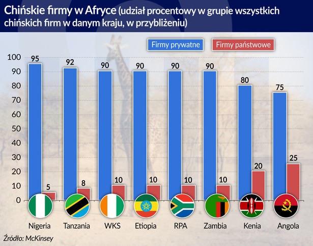 Chińskie firmy w Afryce (graf. Obserwator Finansowy)