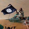 "ISIS nie jest trudne do pokonania". Dlaczego więc wciąż ma władzę?
