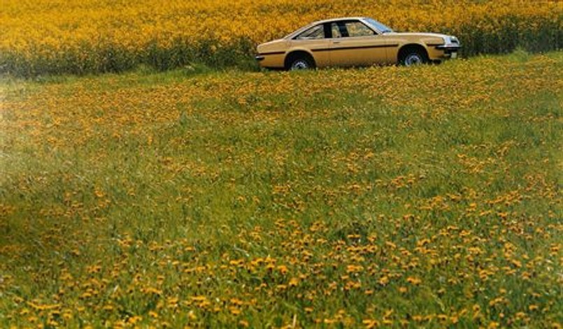 Ople w stylu retro na wiosnę