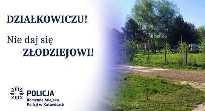 Zabezpiecz swoją działkę przed zimą. Eksperci podpowiadają, jak to zrobić