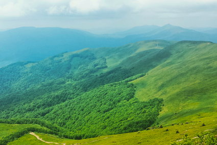 A gdyby rzucić to wszystko... Bieszczady to miejsce, w którym można się cieszyć wolnością