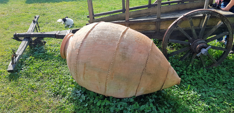 Amfora na wino, którą zakopuje się w ziemi