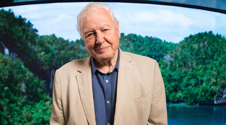 David Attenborough