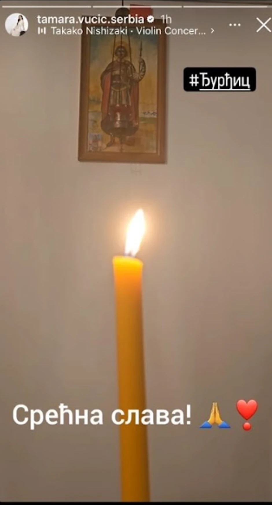 Fotografije iz doma Tamare Vučić