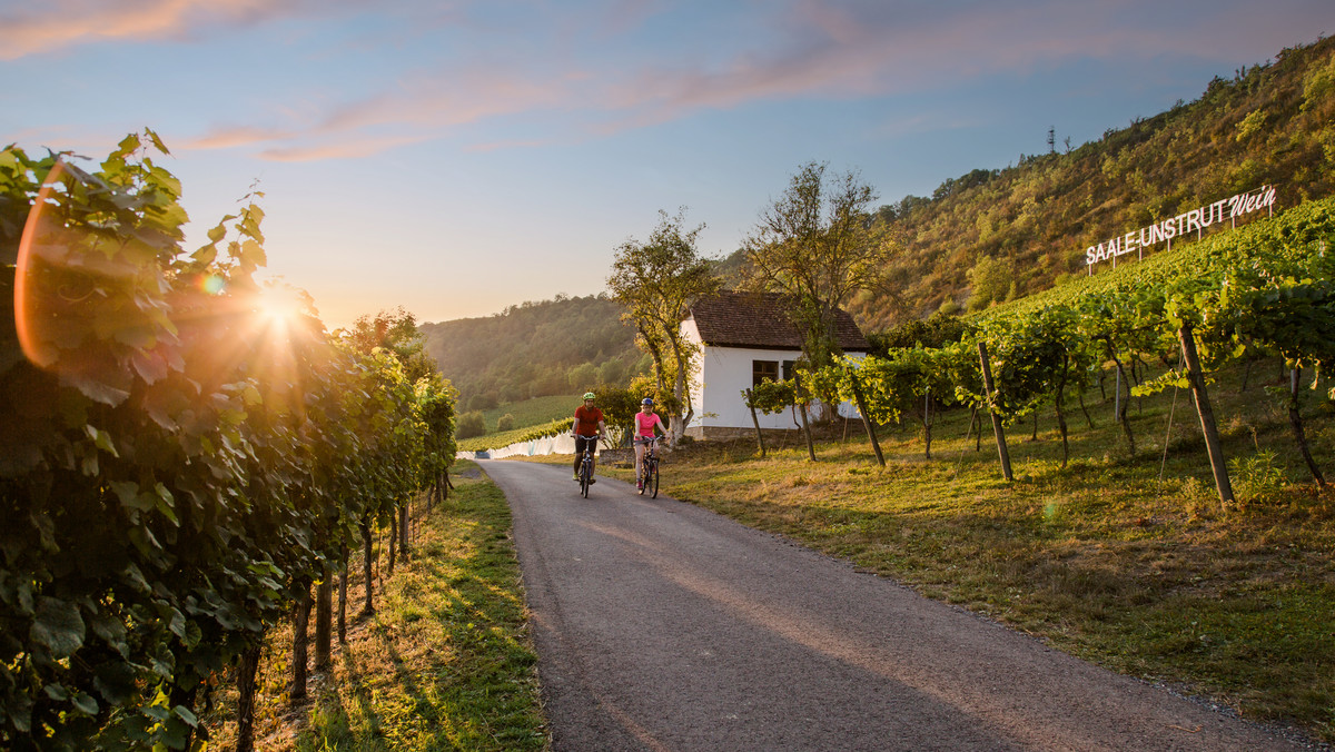 Winiarska Saksonia-Anhalt - doskonały cel podróży szlakiem wina