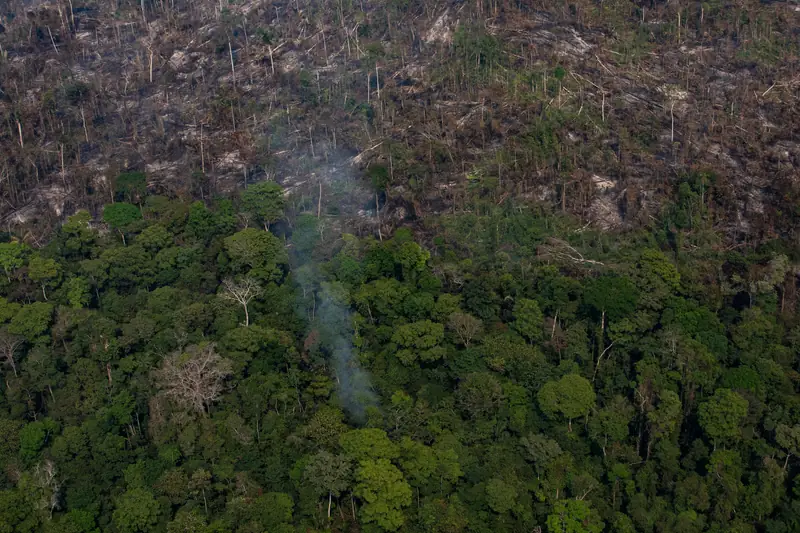 Amazonia fot. Victor Moriyama / Stringer/ GettyImages