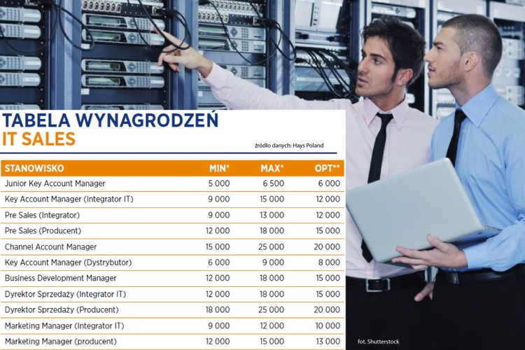 Nieuchronny rozwój techniki sprawia, że na rynku inżynierów sprzedaży pracujących dla integratorów IT rośnie zapotrzebowanie na umiejętności w obszarach związanych z szeroko pojętym bezpieczeństwem IT. „Firmy szukają osób kompetentnych w zakresie: analityki bezpieczeństwa, zarządzania i monitorowania infrastruktury IT, bezpieczeństwa sieci i styku z internetem oraz ochroną danych (rozwiązania DLP). Drugim wyraźnym trendem na rynku inżynierów sprzedaży jest zwiększone zapotrzebowanie na kandydatów znających produkty chmurowe” – czytamy w raporcie.
<br>
Z obserwacji Hays Poland wynika, że w roku 2015, rosło zainteresowanie firm handlowcami IT z doświadczeniem w sprzedaży rozwiązań teleinformatycznych. Tego typu rekrutacje najczęściej dotyczyły stanowisk w sektorze publicznym, ze szczególnym uwzględnieniem administracji centralnej i samorządowej. 
Zarobki? Przyzwoite. Najniższe oferowane wynagrodzenie było na stanowisku Junior Key Account Manager. Pracownik mógł liczyć na pensję brutto w wysokości co najmniej 5 tys. zł.

<br>Źródło: Hays Poland<br>
*Miesięczne wynagrodzenie PLN brutto na danym stanowisku (na pełen etat)<br>
**Najczęściej oferowane wynagrodzenie na danym stanowisku