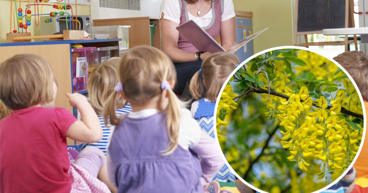 Trujące owoce w przedszkolu we Wrocławiu - dramatyczna sytuacja