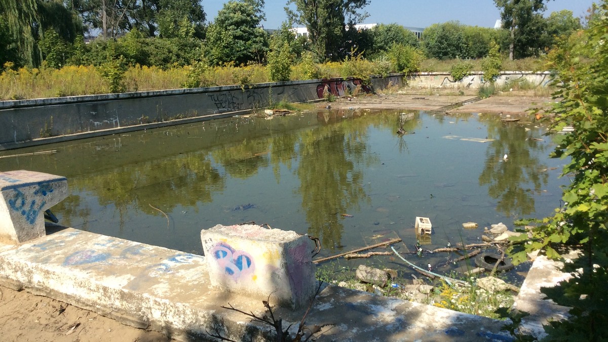 Wrocławscy społecznicy skierowali wniosek do prezydenta Rafała Dutkiewicza ws. budowy w mieście siedmiu nowych basenów. Aktywiści mają nadzieję, że przynajmniej dwie pływalnie uda się zrealizować ze środków z przyszłorocznego budżetu.