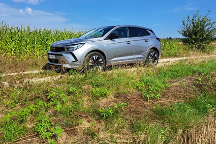 Czy słusznie rezygnujemy z diesli? Opel sprawia, że mam wątpliwości