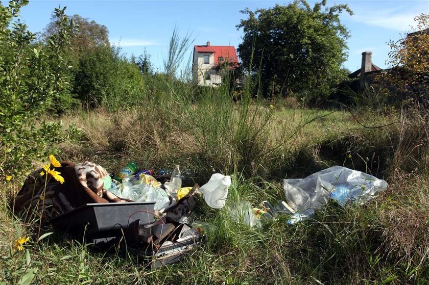 Urzędnicy z Gdyni nie posprzątali nawet w święto