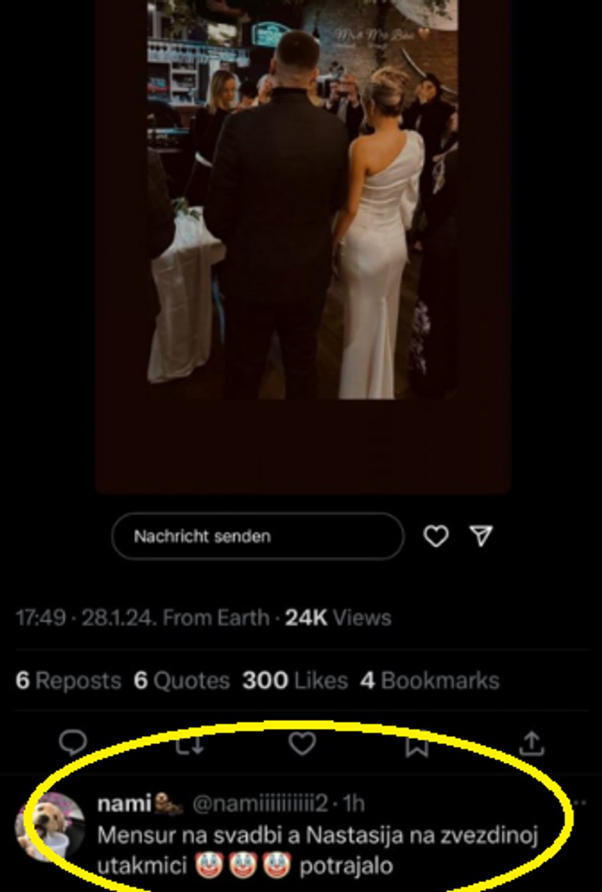 Komentar o Pavlu i Nastasiji