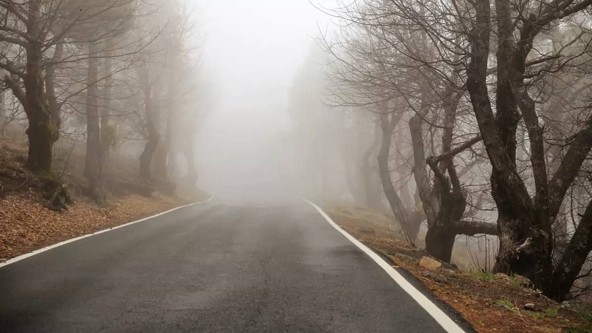 Jazda we mgle, szczególnie niewprawionym kierowcom, może sprawić pewne problemy