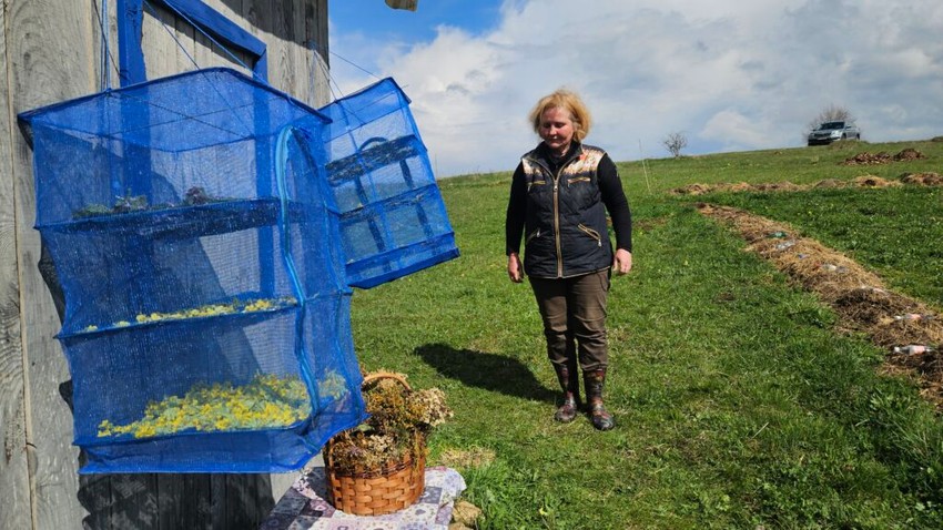 Irina na Kamenoj Gori