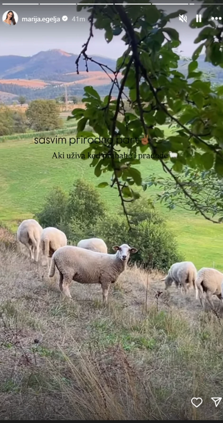 Marija Egelja objava