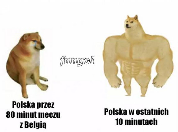 Memy po meczu Polska - Belgia