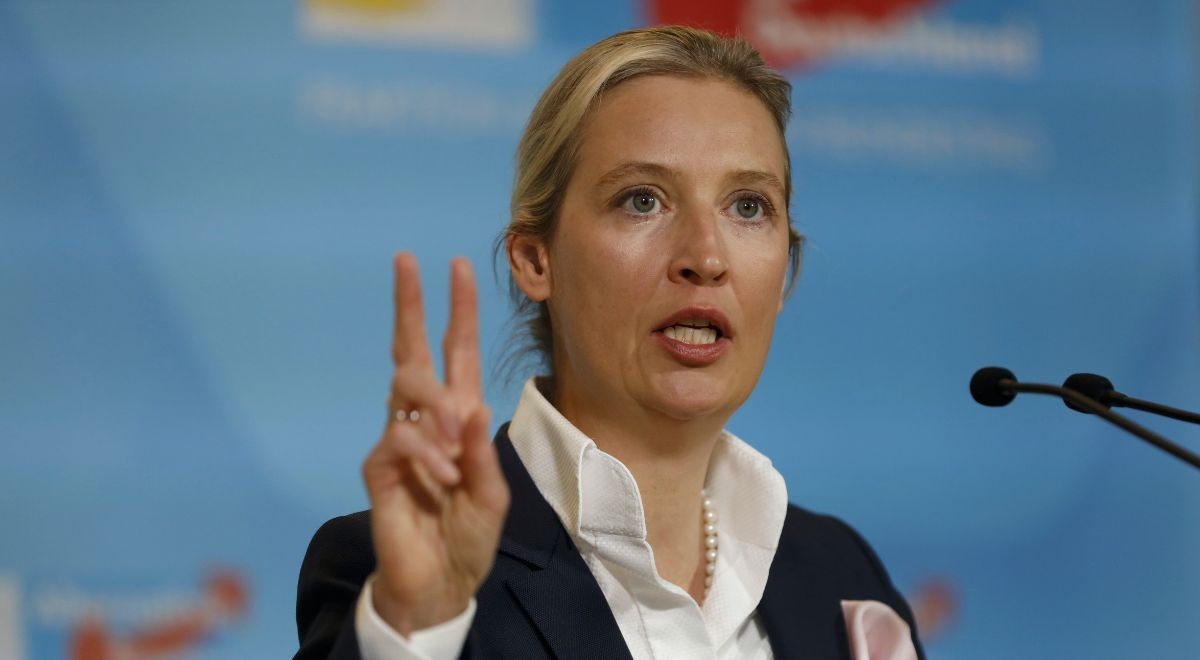 wybory w Niemczech Niemcy poparcie dla AfD Alternatywa dla Niemiec
