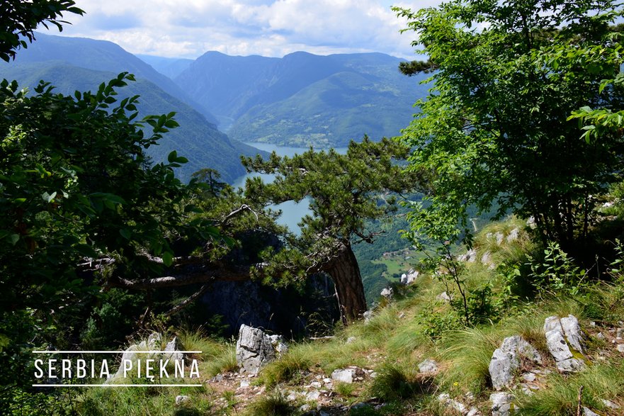 Serbia jest piękna.