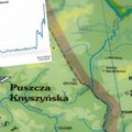 Pięcioletni rekord wniosków o azyl w Polsce. W całej UE padł rekord pandemii