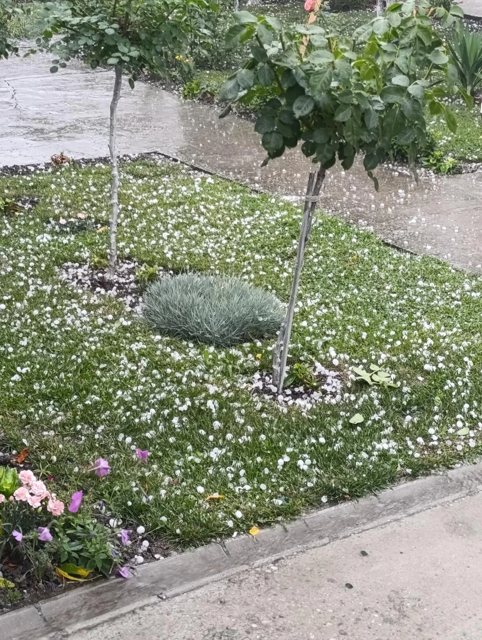 Nevreme u Novom Bečeju