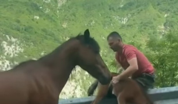 Trenutak spasavanja ždrebeta pored puta