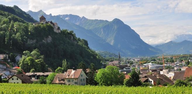 6. Lichtenstein – górskie europejskie państwo, leżące na granicy między Austrią  i Szwajcarią. Stolicą państwa jest miasto Vaduz. Powierzchnia tego zamieszkiwanego przez 33 tys. ludzi wynosi 160 km2.