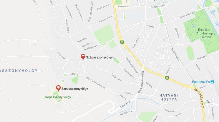 Egerben, a Szépasszonyvölgy utcában történt a baleset /Fotó: Google Maps